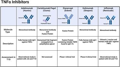 TNF-α inhibitors for type 1 diabetes: exploring the path to a pivotal clinical trial